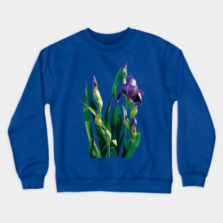 Irises - Purple Iris and Buds Crewneck Sweatshirt